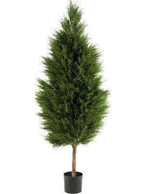 Kunstplant Cypres tree L