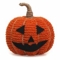 Pompoen Oranje - thumbnail