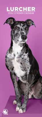 Lurcher Slimline Kalender 2026