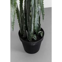 Kare Kunstplant Dragon Tree 155cm - thumbnail