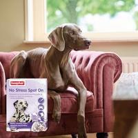 Beaphar No Stress Spot On hond 3 pipetten - thumbnail