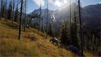 Way of the Hunter - thumbnail