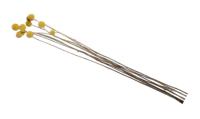 Droogbloemen Craspedia geel nat.mat 65cm - thumbnail