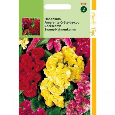 Zaden Celosia Hanenkam gemengd Hortitops - Hortitops