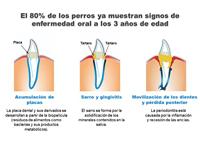BOGAR Bogadent® Anti-plaque finger - vingertophoesje voor het verwijderen van tandplak - 2 stuks - thumbnail
