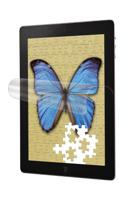 3M DFFIPA2 Natural View Fingerprint Fading Screen Protector voor Apple iPad 2/3/4 glanzend - thumbnail