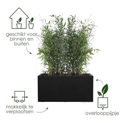 Elho Vivo Next plantenbak met wieltjes 80cm living black