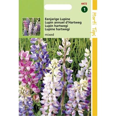 Zaden Lupine Lupine gemengd Hortitops - Hortitops
