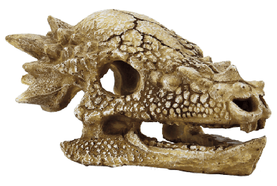 Skull T Rex M aquaria Superfish - Superfish