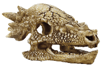 Skull T Rex M aquaria Superfish - Superfish - thumbnail