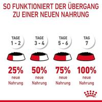 Royal Canin Urinary Care natvoer kat (in gelei) 2 dozen (24 x 85 g) - thumbnail