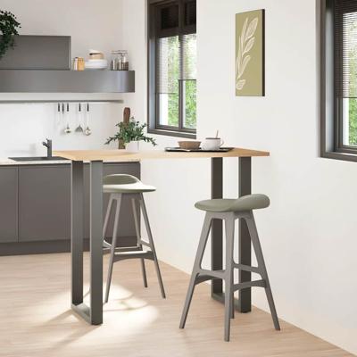 Bartafelpoten 2 st U-vormig 60x(110-111) cm staal antraciet