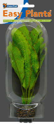 Easy plants middel 20cm nr.12 zijde