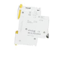 Schneider Electric A9S65191 100 A 240 V - thumbnail