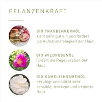 Primavera Forest walk dry oil 100 Milliliter - thumbnail