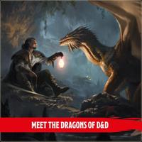 Dungeons & Dragons RPG Dragon Delves: An Adventure Anthology english - thumbnail