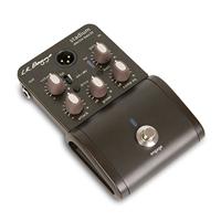 LR Baggs Stadium DI voor basgitaar - thumbnail