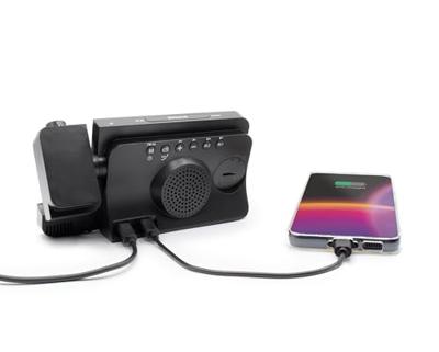 Projectorklokradio - THOMSON - Zwart - FM-radio, Temperatuur, Vochtigheid, Dubbel alarm, USB-C, Voeding 230V Projectorklokradio - THOMSON - Zwart - FM-radio, Temperatuur, Vochtigheid, Dubbel alarm, USB-C, Voeding 230V