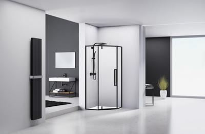 Van Rijn Products ST04 Vijfhoek - 98x200cm - helder glas - dikte 6mm - zwart ST041000100KP