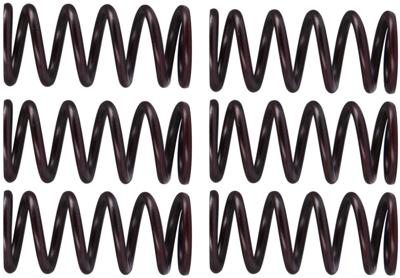 TRW koppelingsveer set clutch spring kit mef300-6