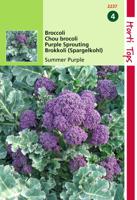 Zaden Broccoli Summer Purple Hortitops - Hortitops - thumbnail