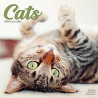 Cats Calendar 2026 Square Cat Wall Calendar - 16 Month - thumbnail