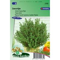 Tijm zaden echte zomertijm - thumbnail