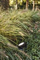 Lutec Arctic - thumbnail