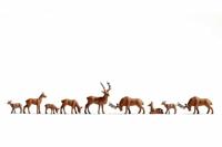 NOCH 36730 N Dieren figuren Geverfd, Staand - thumbnail