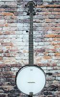 Gold Tone AC-Traveler vijfsnarige reisbanjo, met gigbag - thumbnail