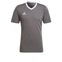 adidas Entrada 22 Voetbalshirt Grijs Wit - thumbnail