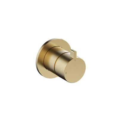 Hotbath Ace - Afbouwdeel - 2-Weg Omstel - Geborsteld Messing Pvd - V01