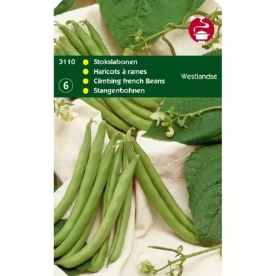 Zaden Stokslabonen Westlandse Dubbele zonder draad 100g Tuinplus - Tuinplus Zaden Stokslabonen Westlandse Dubbele zonder draad 100g Tuinplus - Tuinplus