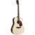 Charlesville Rosewood Series D-RW Dreadnought akoestische westerngitaar - thumbnail