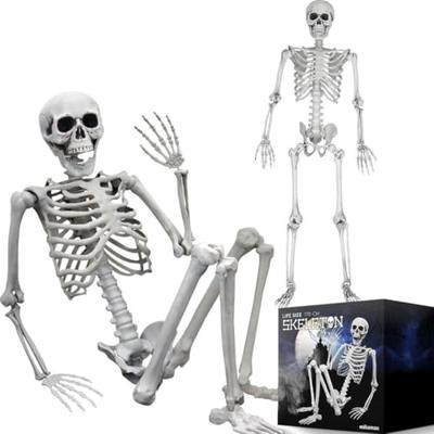 Human Size Skelet 170cm - Levensecht - Buigbaar - ABS - Halloween Decoratie
