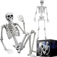 Life Size Skeleton - 170 cm - Human Size - Halloween Skelet - thumbnail