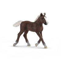 Schleich farm world - schwarzwã¤lder veulen - 13899 - thumbnail