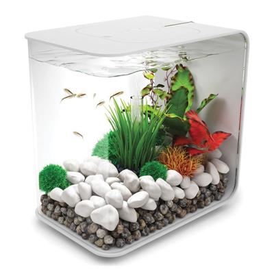 Oase 72034 biOrb FLOW 30 LED weiß Aquarium 30 l Met LED-verlichting