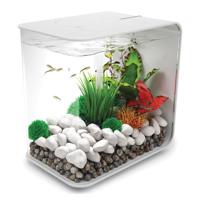 Oase 72034 biOrb FLOW 30 LED weiß Aquarium 30 l Met LED-verlichting - thumbnail