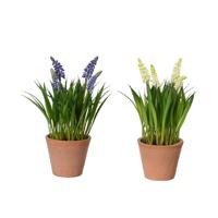 Kunstplant druifjes in pot Ø11xH26cm - thumbnail