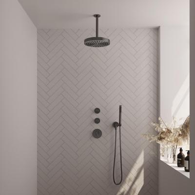 Brauer Stripe thermostatische inbouw regendouche SET 03 met 25 cm douchekop en plafondarm en staaf handdouche en doucheslang en wandaansluitbocht gunmetal geborsteld PVD