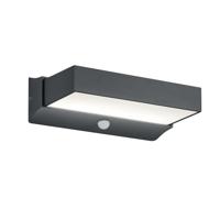 Trio WandlampCuando met bewegingssensor - 226669242 - thumbnail