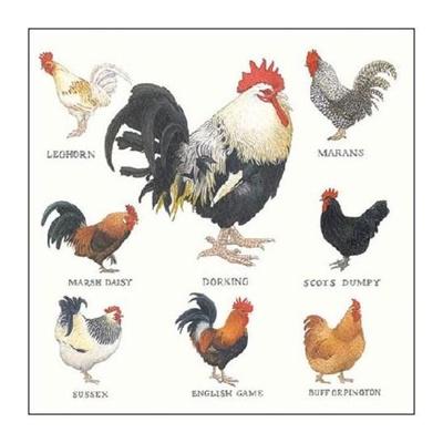 Ambiente Servetten Farmyard Hens 33cm