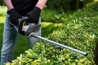 Ac Maxxpk 18v cu heggenschaar body batavia 2 - thumbnail