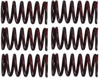 TRW koppelingsveren set clutch spring kit mef320-6 - thumbnail