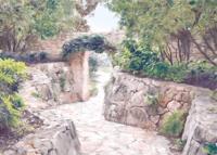 Komar Le Jardin Fotobehang Passage - LJX7-051 - thumbnail