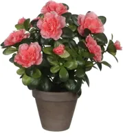 Decoratieve plant Mica Decorations 11,5 x 27 x 20 cm - thumbnail