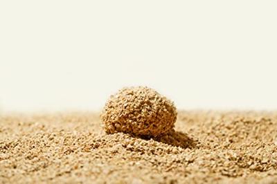 Cat's Best Sensitive 8ltr