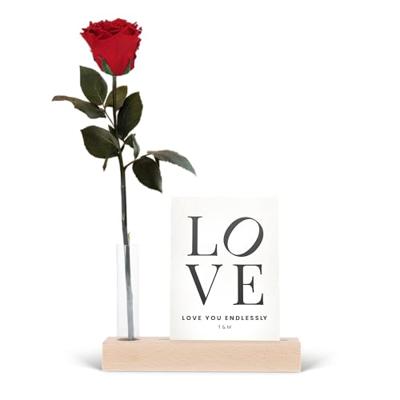 Infinity roos met foto standaard