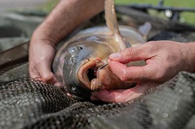 PolePosition Line Aligner Short Tungsten